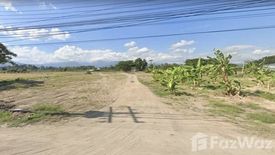 Land for sale in Khuang Pao, Chiang Mai