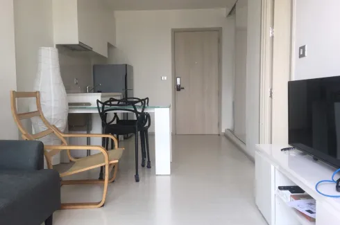 1 Bedroom Condo for rent in Rhythm Sukhumvit 42, Phra Khanong, Bangkok near BTS Ekkamai