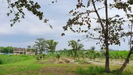 Land for sale in Chalong, Phuket