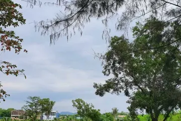 Land for sale in Chalong, Phuket