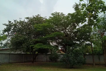 Land for sale in Huai Yai, Chonburi