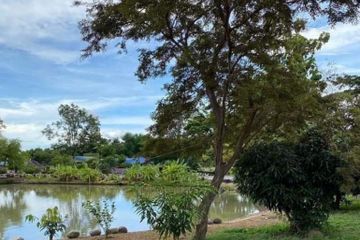 Land for Sale or Rent in Nong Prue, Chonburi
