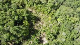 Land for sale in Patong, Phuket