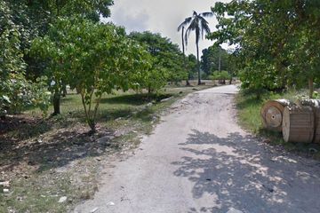 Land for sale in Mae Nam, Surat Thani