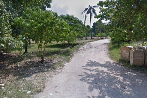 Land for sale in Mae Nam, Surat Thani