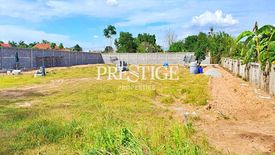 Land for sale in Nong Prue, Chonburi