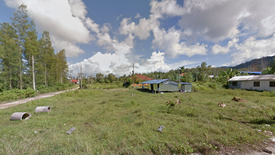 Land for sale in Si Sunthon, Phuket