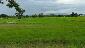 Land for sale in Buak Khang, Chiang Mai