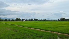 Land for sale in Buak Khang, Chiang Mai