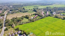 Land for sale in Huai Sai, Chiang Mai