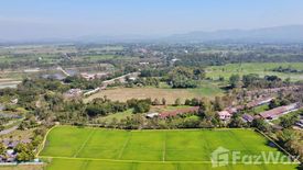 Land for sale in Huai Sai, Chiang Mai