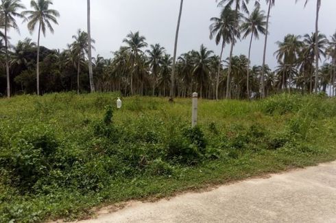 Land for sale in Khok Kloi, Phang Nga