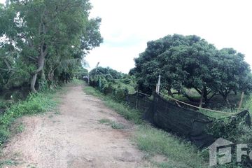 Land for sale in Nong Faek, Chiang Mai