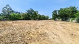 Land for sale in Nong Prue, Chonburi