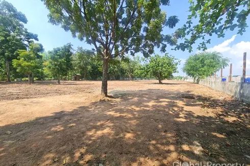 Land for sale in Nong Prue, Chonburi