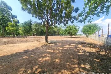 Land for sale in Nong Prue, Chonburi