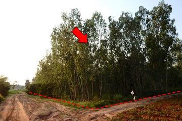 Land for sale in Khok Sung, Chaiyaphum