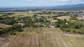 Land for sale in Rong Wua Daeng, Chiang Mai