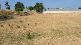 Land for sale in Nong Prue, Chonburi