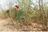 Land for sale in Bueng Krachap, Phetchabun
