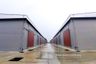 Warehouse / Factory for rent in Dokmai, Bangkok