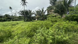 Land for sale in Mai Khao, Phuket