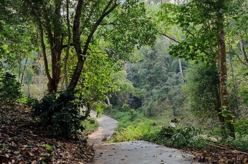 Land for sale in Huai Kaeo, Chiang Mai