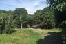 Land for sale in Chom Phu, Chiang Mai