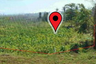Land for sale in Sakhu, Phuket