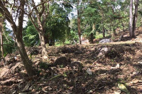 Land for sale in Patong, Phuket