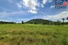 Land for sale in Nong Prue, Chonburi
