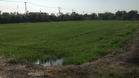 Land for sale in Ton Tan, Suphan Buri