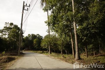 Land for sale in Mae Nam, Surat Thani