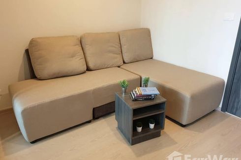 1 Bedroom Condo for rent in Elio Del Nest, Bang Na, Bangkok near BTS Udom Suk