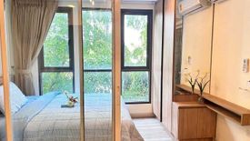 1 Bedroom Condo for rent in Moniiq Sukhumvit 64, Bang Chak, Bangkok near BTS Punnawithi
