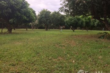 Land for sale in Nong Chom, Chiang Mai