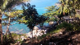 Land for sale in Patong, Phuket