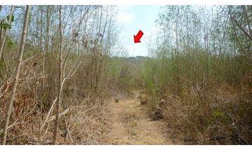 Land for sale in Kan Chu, Phetchabun