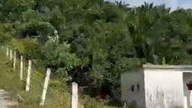 Land for sale in Pa Khlok, Phuket