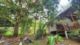 Land for sale in Mae Nam, Surat Thani
