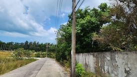 Land for sale in Mae Nam, Surat Thani