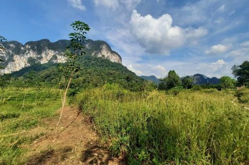 Land for sale in Khao Thong, Krabi