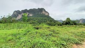 Land for sale in Khao Thong, Krabi