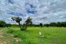Land for sale in Nong Han, Chiang Mai