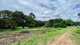 Land for sale in Nong Han, Chiang Mai