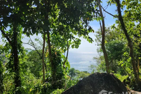 Land for sale in Kamala, Phuket