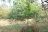 Land for sale in Nong Prue, Chonburi