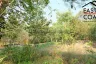 Land for sale in Nong Prue, Chonburi
