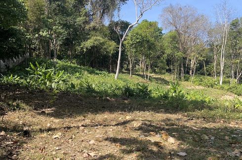 Land for sale in Talat Nuea, Phuket