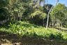 Land for sale in Talat Nuea, Phuket